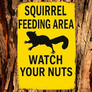 May include: A yellow metal sign with black text and a black squirrel silhouette. The sign reads "SQUIRREL FEEDING AREA" above the squirrel image, and "WATCH YOUR NUTS" below. The sign is mounted on a tree trunk.
