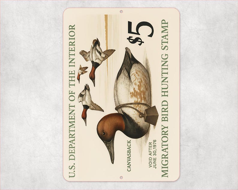 Może przedstawiać: Prostokątny metalowy znak z ilustracją vintage kaczki Canvasback. Znak zawiera tekst "$5 Migratory Bird Hunting Stamp" i "U.S. Department of the Interior". Znak jest kremowy z postarzanym wyglądem.