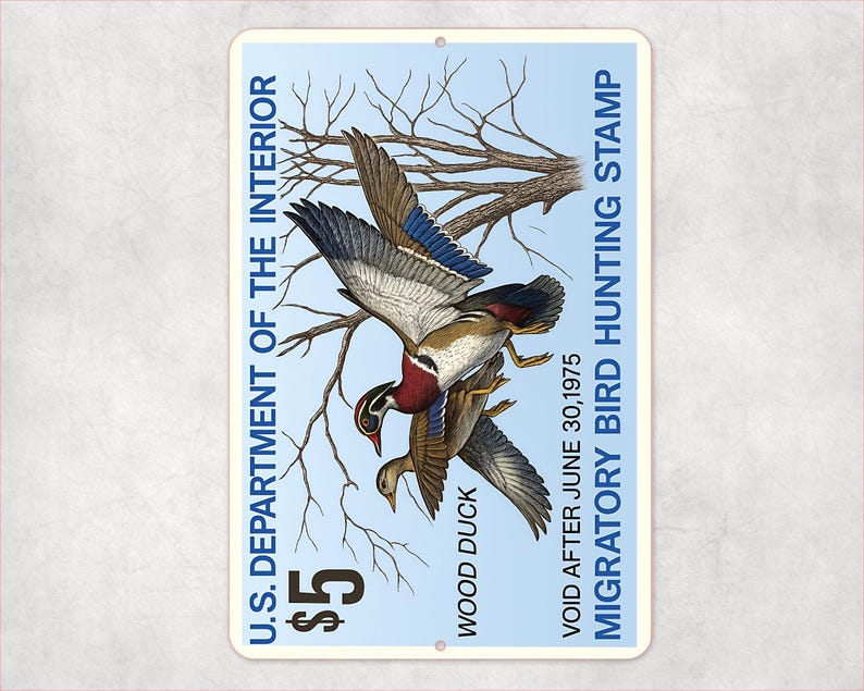 Us Sign Bird 1975 Wood Duck Stamp Sign – Vintage Migratory Bird Hunting Art – 8x12 ...