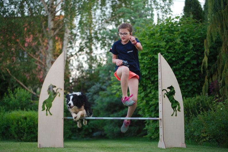 Obstacle Hobby Horse Agility Hobbyhorse Jump Jumps Garden Etsy