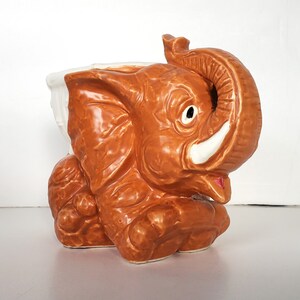 May include: A brown ceramic elephant planter with a white interior. The elephant has a textured surface and a white tusk.