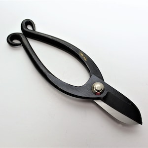 May include: Black metal shears with a curved handle and a sharp blade. The shears have a small silver rivet on the handle.