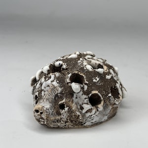 Könnte beinhalten: Eine Keramik-Igel-Skulptur mit einem dunkelbraunen Körper und weißen, strukturierten Akzenten. Der Igel hat ein detailliertes Gesicht mit einer kleinen Schnauze und mehreren Löchern in seinem Körper. Dieses einzigartige Kunstwerk ist ein dekoratives Objekt.