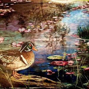 Wood Duck Print