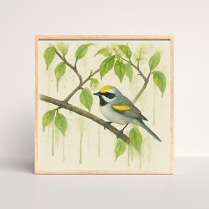 Könnte beinhalten: Aquarellmalerei eines kleinen Vogels mit gelbem Kopf, grauem Körper und gelben Flügelakzenten, der auf einem Ast sitzt. Der Vogel ist vor einem Hintergrund aus grünen Blättern und weißen Blüten in einem hellen Holzrahmen dargestellt.