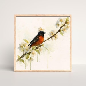 Orchard Oriole Watercolor Artwork | Rusty Orange Songbird Wall Print | Digital Backyard Bird Download | Garden Nature Decor