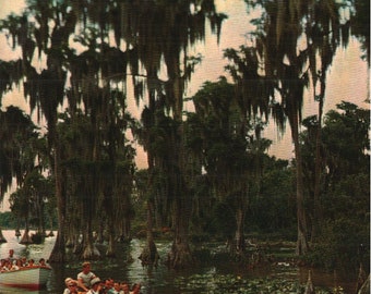 Vintage Chrome Postcard Sightseeing Boats Cypress Gardens Florida 1970s