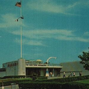 vintage Chrome Carte postale New York Aquarium Coney Island Brooklyn New York années 1960 NYC