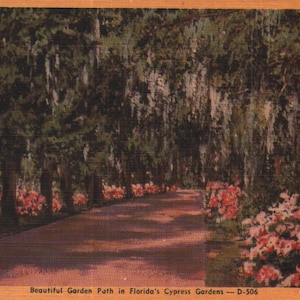Cartão postal de linho vintage, lindo caminho de jardim nos jardins de ciprestes da Flórida, refúgio de inverno, década de 1940