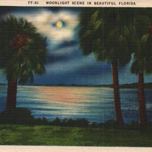 Carte postale vintage en lin Moonlight Scene dans la belle Floride des années 40
