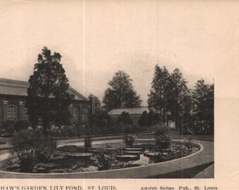 Vintage pre-linnen ansichtkaart Shaw's Garden Lily Pond St. Louis, Missouri, jaren 1900 ongedeelde achterkant