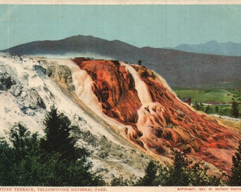 Vintage Pre-Linen Postcard Jupiter Terrace Yellowstone National Park Wyoming 1902 Undivided