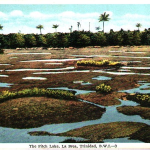 Cartão postal vintage pré-linho The Pitch Lake La Brea Trinidad 1910 Índias Ocidentais Britânicas