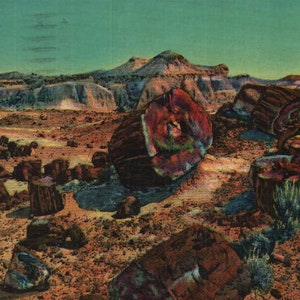 Vintage Chrome Postcard Petrified Forest Arizona 1950s