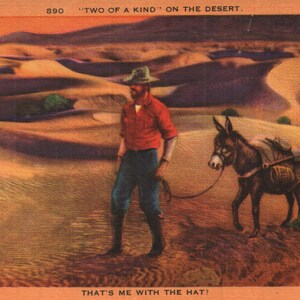 Cartão postal de linho vintage único no deserto, sou eu com o chapéu de cowboy e mula, década de 1930