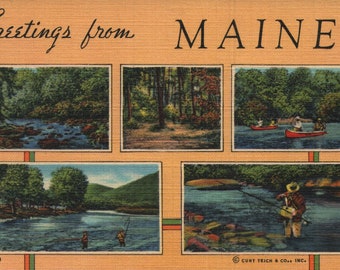 Vintage Linnen ansichtkaart groeten uit Maine 1939 Vissen