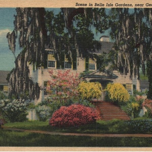 Cena de cartão postal de linho vintage em Belle Isle Gardens, perto de Georgetown, Carolina do Sul, 1942