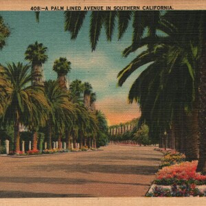 Cartão postal de linho vintage em uma avenida com palmeiras no sul da Califórnia, década de 1940, LA
