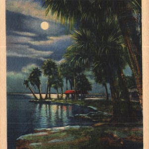 Cartolina d'epoca in lino, chiaro di luna sulle acque tropicali della Florida, 1937