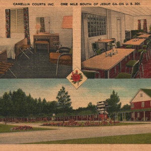 vintage Linen Carte postale Camellia Courts Inc. One Mile au sud de Jesup Georgia sur US 301 1950s