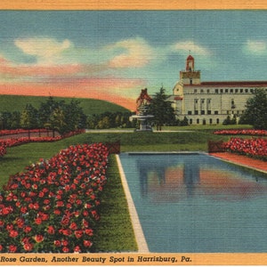 Vintage Linen Postcard Municipal Rose Garden Another Beauty Spot in Harrisburg Pennsylvania 1938