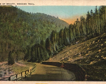 Vintage Pre-Linen Postcard Curve of Beauty Mohawk Trail Massachusetts 1920s