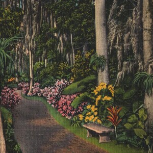 Carte postale en lin vintage Sentier principal à travers les jardins de cyprès sous le soleil de Floride, havre d'hiver des années 40