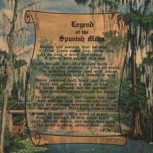 Vintage Linen Postcard Legend of the Spanish Moss Florida 1940