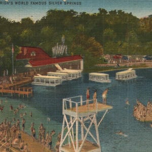 Vintage Leinen Postkarte Floridas weltberühmte Silver Springs Florida 1940er Jahre