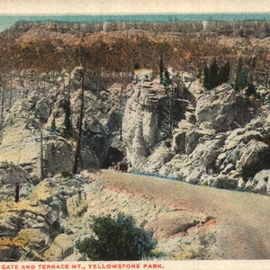 vintage Pre-Linen Postcard Silver Gate et Terrace Mountain Yellowstone Park Wyoming 1910s - années 1920