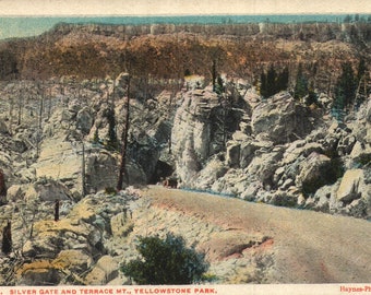 Vintage Pre-Linen Postcard Silver Gate and Terrace Mountain Yellowstone Park Wyoming 1910s - 1920s