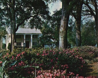 Vintage Chrome Postcard One of the Many Beautiful Lakefront Homes and Gardens in Central Florida 1970s