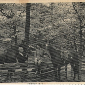 Vintage Postcard Horses Pinehurst North Carolina 1940s Deckle Edge Dogwood Trails