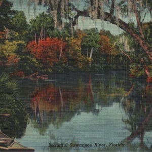 Cartão postal vintage de linho, lindo rio Suwannee, Flórida, 1942