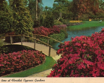 Vintage Chrome Postcard Blossom Time at Florida's Cypress Gardens 1965 Bridge