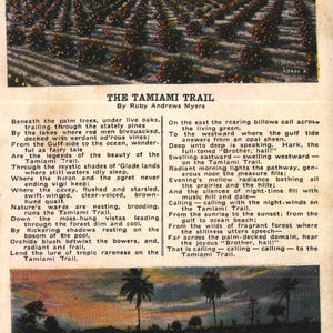 Vintage Pre-Linen Postcard The Tamiami Trail by Ruby Andrews Myers Poem Orange Grove Sunset Florida 1920s