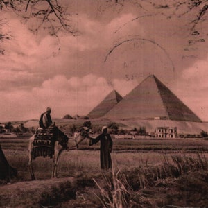 Vintage Real Photo Postcard The Pyramids of Giza Cairo Egypt 1950s Deckle Edge Camels