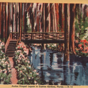 Vintage Linen Postcard Azalea Fringed Lagoon in Cypress Gardens Florida Winter Haven 1940s