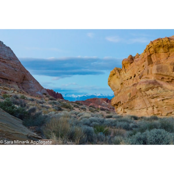 Instant digital download color photo "Harsh Valley" Desert Landscape, Valley of Fire, Las Vegas Nevada