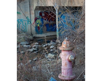 Color signed limited edition photo "Middle of Nowhere" worn down fire hydrant by overgrown stream and underpass off the beaten path graffiti