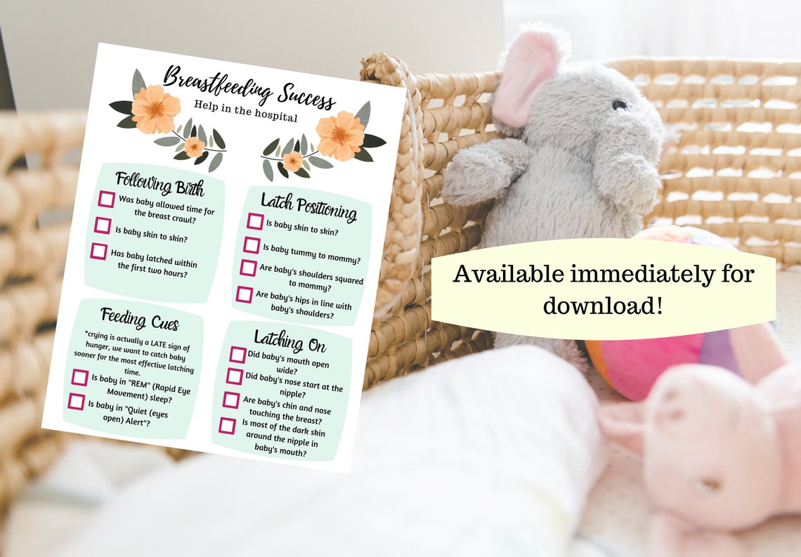 Breastfeeding Help Guide Checklist for the Hospital Etsy