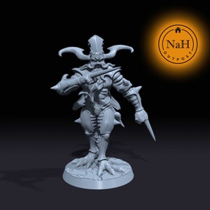 Kaito, the Shadow Blade | Gongolion | Dragonborn Rogue miniature for Tabletop games like D&D and War Gaming| Dungeons and Dragons Mini