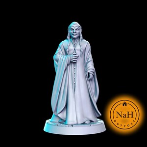 Eolan of Silverbrook | Elrond | Elf Sorcerer Warlock or Wizard miniature for Tabletop games like D&D and War Gaming| Dungeons and Dragons