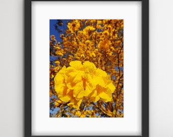 Sun Kiss - beautiful art photography print