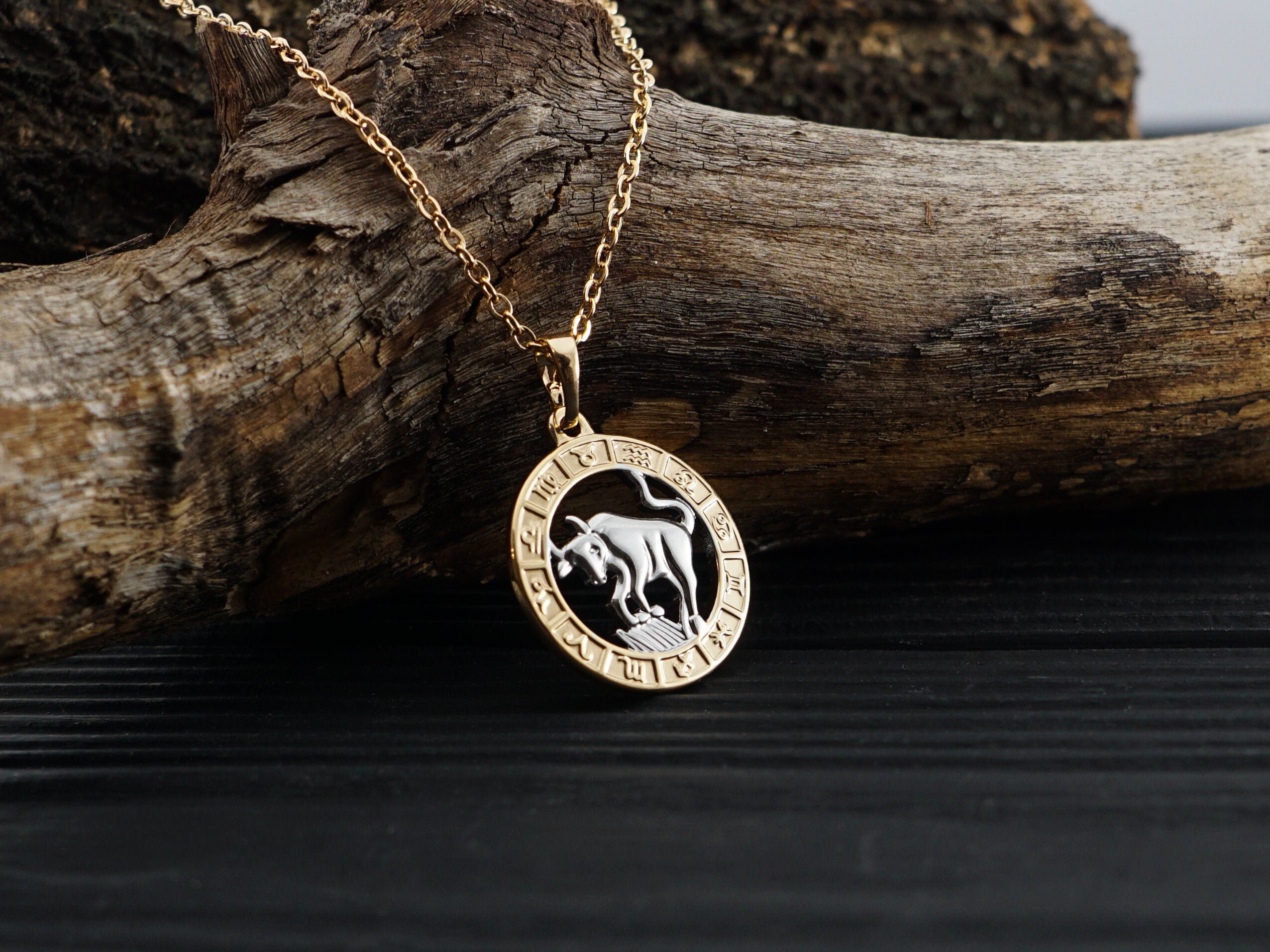 Tauro colgante collar Taurus joyería collar zodiac de plata Etsy