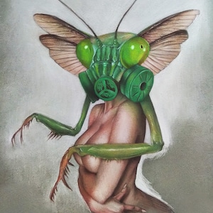 Mantis Mask - original soft pastel drawing