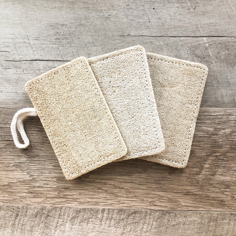 Natural Zero Waste Bamboo Kitchen Brush Seteco Friendly Etsy