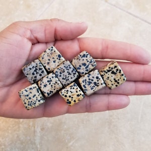 May include: A collection of eight small, square, polished dalmatian jasper stones. The stones are a light beige color with black spots.