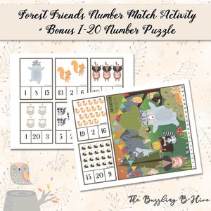 May include: A printable set of educational activity sheets featuring forest animals. The sheets include a number matching activity and a 1-20 number puzzle. The sheets are black and white with colorful illustrations of owls, raccoons, bears, and squirrels.