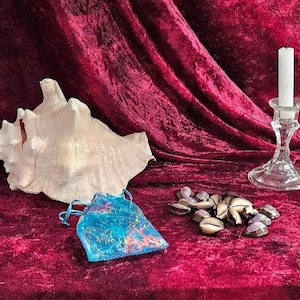 Cowrie Shell Reading